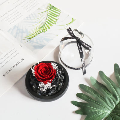Eternal Rose in Glass Dome with LED | Ideal Gift for Moms & Weddings - Merelux Store