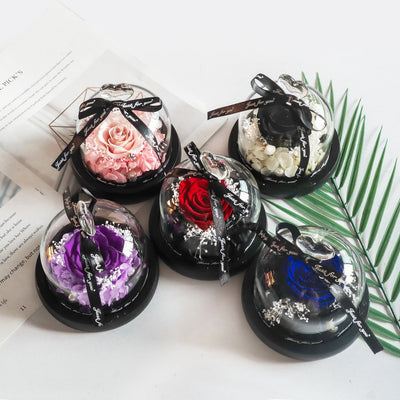 Eternal Rose in Glass Dome with LED | Ideal Gift for Moms & Weddings - Merelux Store
