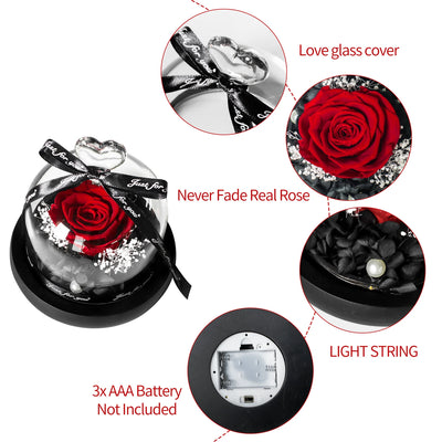 Eternal Rose in Glass Dome with LED | Ideal Gift for Moms & Weddings - Merelux Store